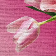 Холст без подрамника