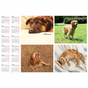 Календарь-плакат 25х38, горизонтальный