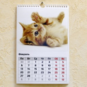 Календарь перекидной 21х30 (12 страниц + обложка)
