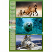 Календарь-плакат 30х40, вертикальный